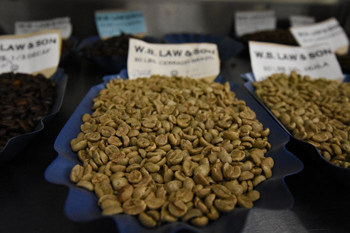 a tray of green coffee beans from Cerrado Brazil